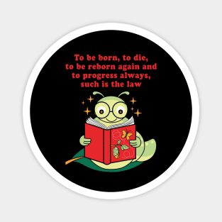 Evolution of the spirit Magnet